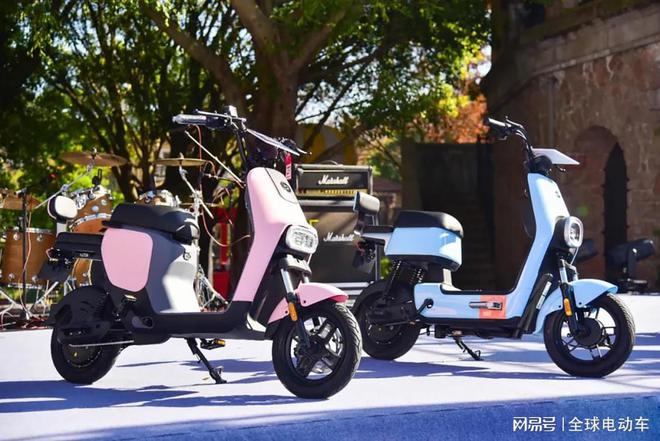 电瓶车换新电瓶_电车换新电瓶_电车换的新电瓶要充电吗